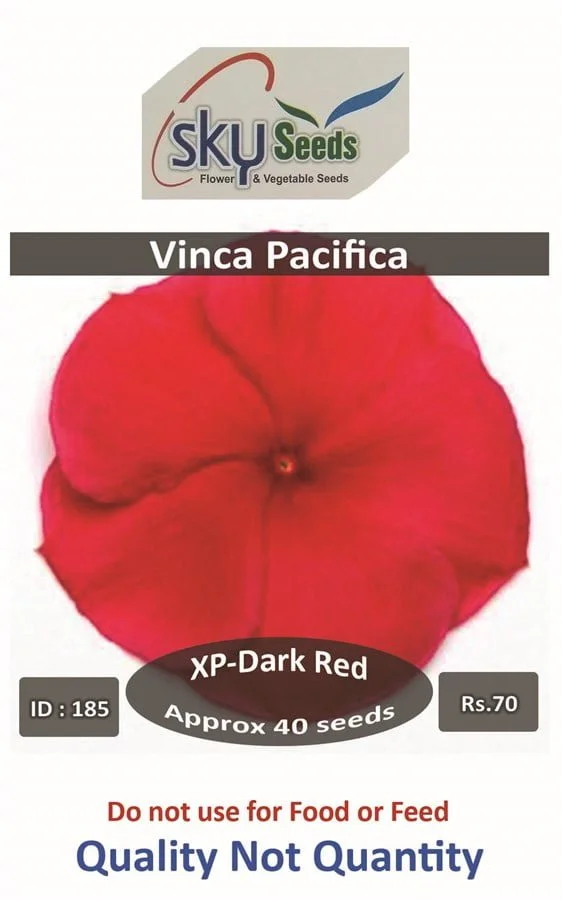 Pacifica XP Dark Red Vinca 40 seeds