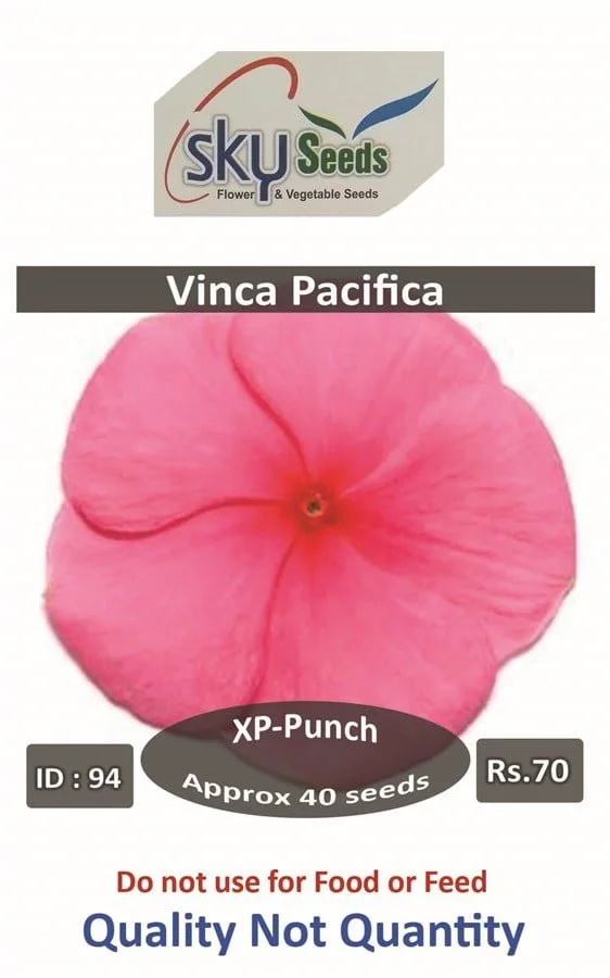 Pacifica XP Punch Vinca 20 seeds