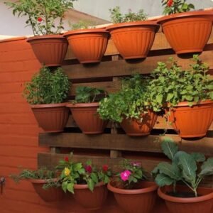 Dewari Pots