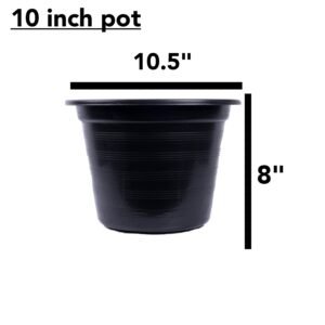 Black Pot 10" S Quality