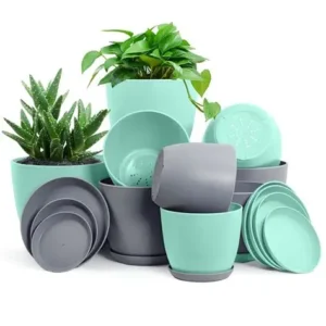 kyari &Plastic pots