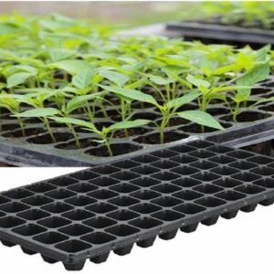 Seedling Tray