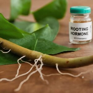 Rooting Hormone
